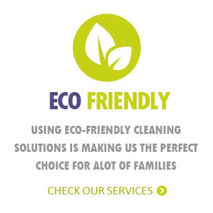 eco friendly cleaning products